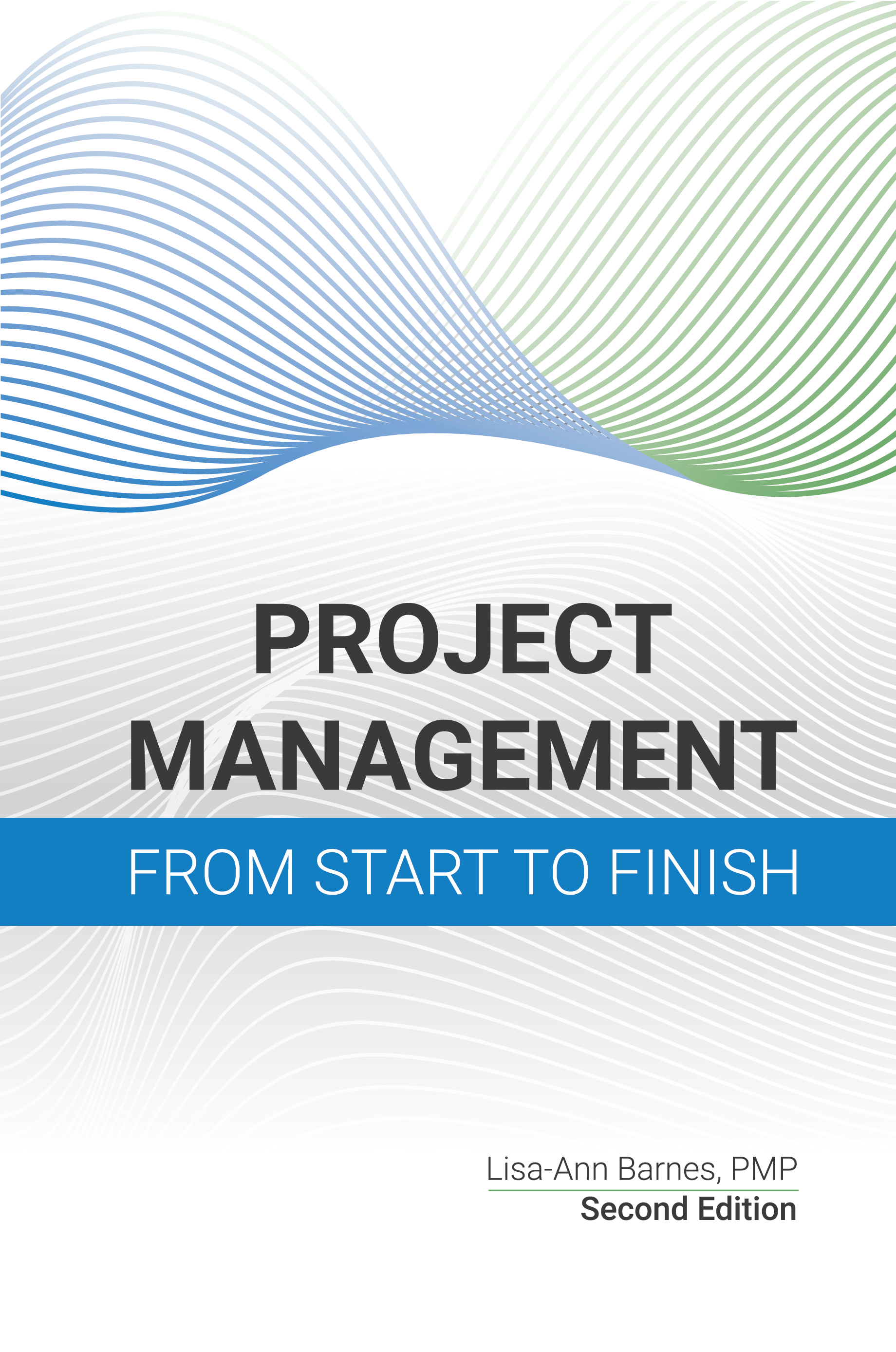 Project Management From Start to Finish cover